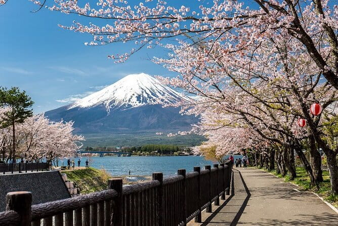 Mt Fuji, Hakone Private Tour by Car Pickup from Tokyo - The pagoda view at Arakura Fuji Sengen Shrine