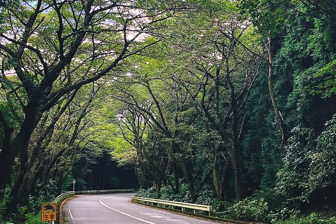 Mt. Fuji, Hakone Private Tour from Tokyo - Onsen, Arts and Nature - Amazake Chaya feels like a real pause