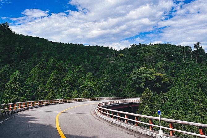 Mt. Fuji, Hakone Private Tour from Tokyo - Onsen, Arts and Nature - The onsen is the day’s main reset button