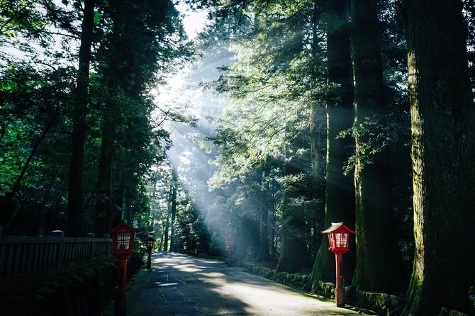 Mt. Fuji, Hakone Private Tour from Tokyo - Onsen, Arts and Nature - Choose the open-air museum when the skies cooperate