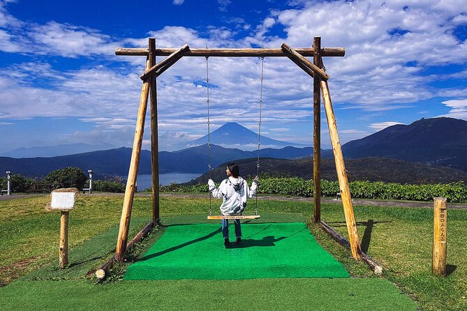 Mt. Fuji, Hakone Private Tour from Tokyo - Onsen, Arts and Nature - The Ashinoko Skyline can add one last view
