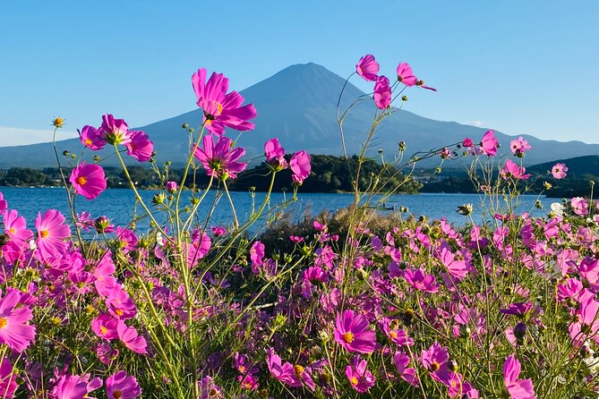 Mt.Fuji Hakone Private Tour with English Speaking Chauffeur - Why this private Mt. Fuji day trip works