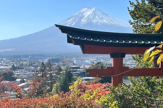 Mt.Fuji Hakone Private Tour with English Speaking Chauffeur - Oshino Hakkai and its eight ponds
