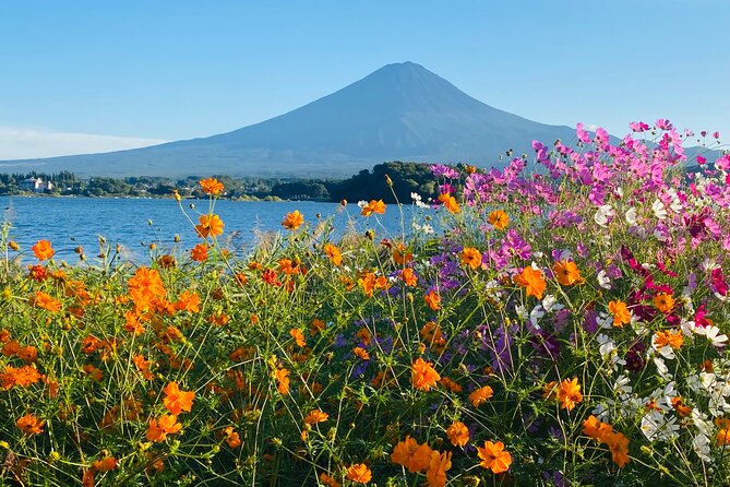 Mt.Fuji Hakone Private Tour with English Speaking Chauffeur - Saiko and the quieter side of the Fuji area