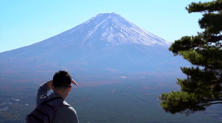 Mt Fuji & Hakone: Sightseeing Private Day Tour with Guide - Key points to know before booking