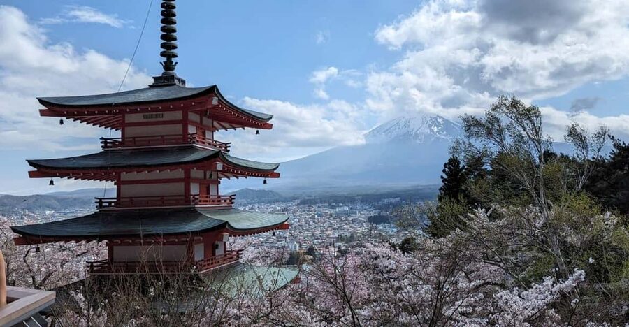 Mt Fuji & Hakone: Sightseeing Private Day Tour with Guide - Oishi Park and Lake Kawaguchiko