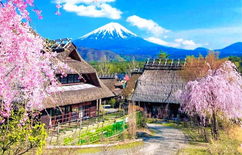 Mt. Fuji Heritage Tour: Traditional Villages, Lakes & Shrine - Why this Mt Fuji day trip earns attention