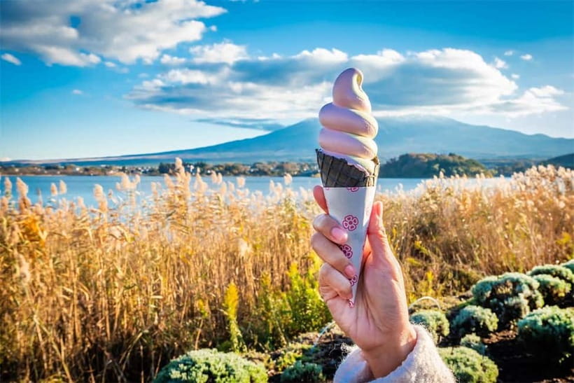Mt. Fuji Heritage Tour: Traditional Villages, Lakes & Shrine - Lunch: simple, flexible, and not included