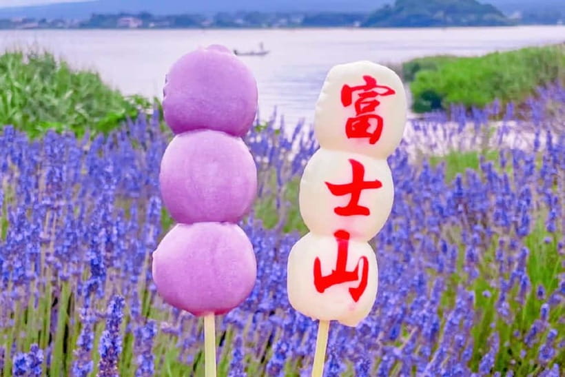 Mt. Fuji Heritage Tour: Traditional Villages, Lakes & Shrine - Oshino Hakkai and the final Fuji-area stop