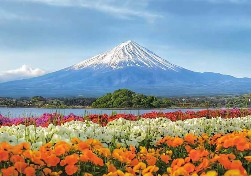 Mt. Fuji Heritage Tour: Traditional Villages, Lakes & Shrine - Timing, weather, and the return to Tokyo