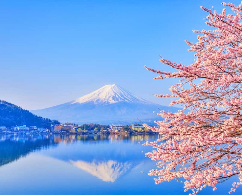 Mt. Fuji & Lake Kawaguchiko Ropeway，Oshino Hakkai 1-Day Tour - Key points at a glance