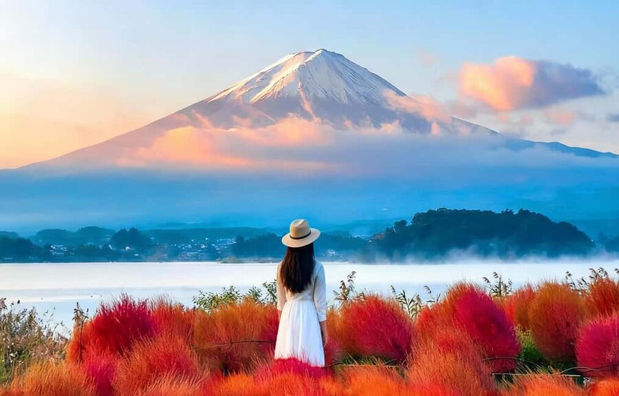 Mt. Fuji & Lake Kawaguchiko Ropeway，Oshino Hakkai 1-Day Tour - Making matcha beside Lake Kawaguchiko
