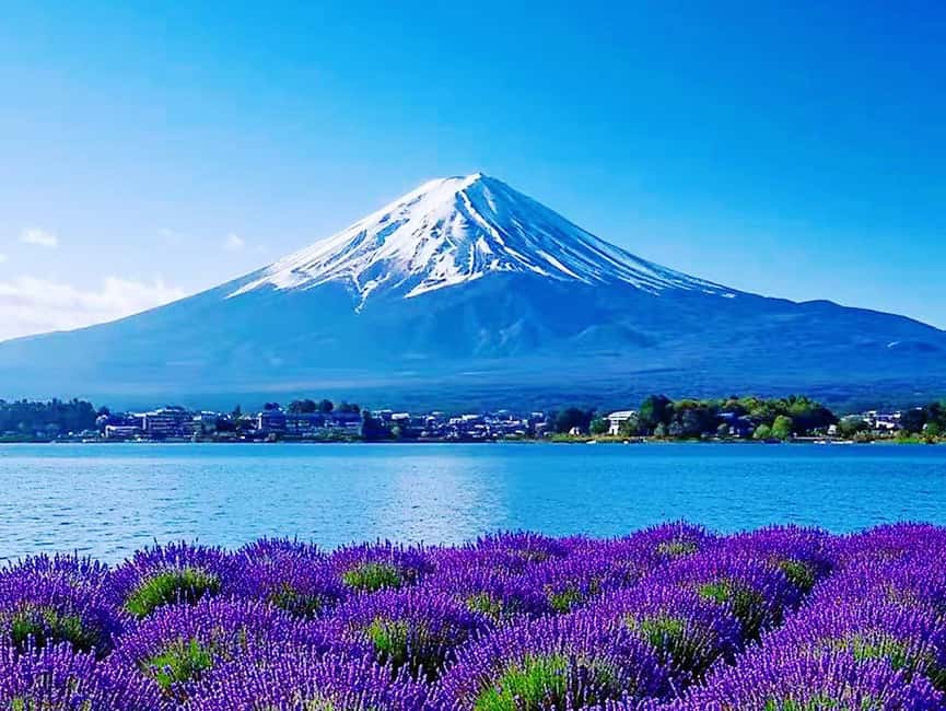 Mt. Fuji & Lake Kawaguchiko Ropeway，Oshino Hakkai 1-Day Tour - Walking through Oshino Hakkai’s eight spring ponds
