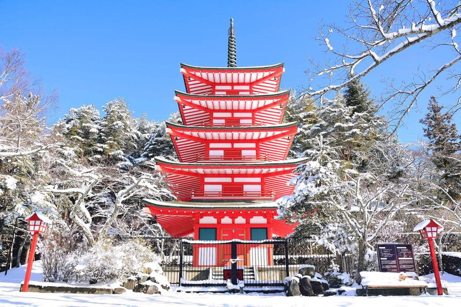 MT.Fuji: Mount Fuji Private day Tour With Guide - Saiko Iyashi-no-Sato Nenba and the final village stop