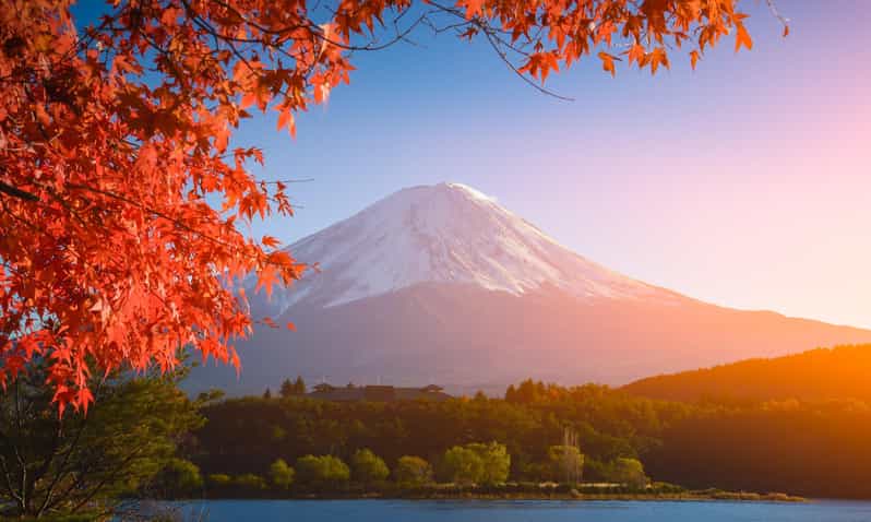 MT.Fuji: Mount Fuji Private day Tour With Guide - Oshino Hakkai and its eight spring-fed ponds