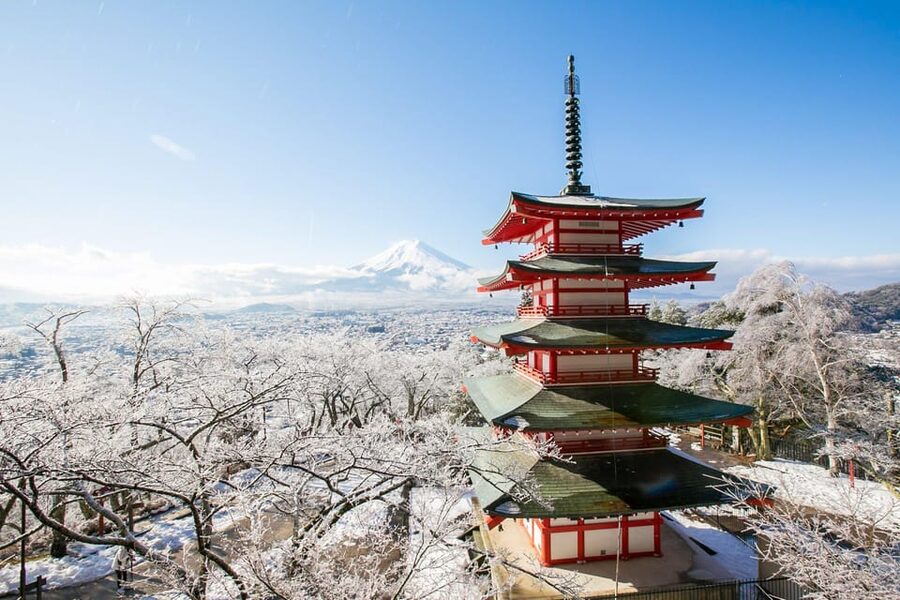 MT.Fuji: Mount Fuji Private day Tour With Guide - Fugaku Wind Cave and the volcanic side of Fuji