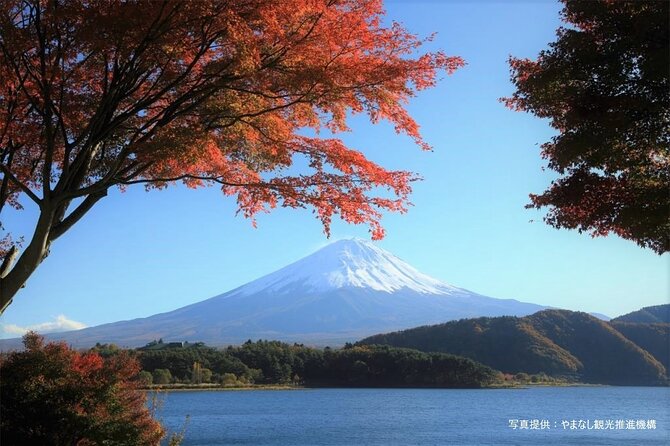 Mt. Fuji, Oishi Park & Arakurayama Pagoda Bus Tour with Lunch - Why this Mt. Fuji day trip works