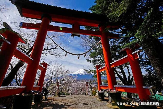 Mt. Fuji, Oishi Park & Arakurayama Pagoda Bus Tour with Lunch - Timing, traffic, and the reality of a full day