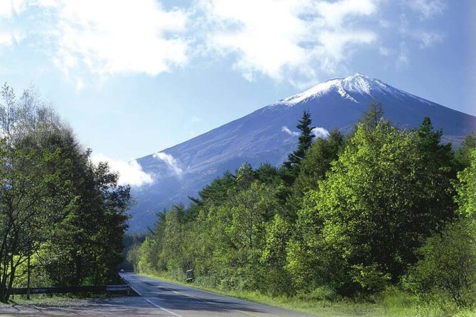 Mt. Fuji, Oishi Park & Arakurayama Pagoda Bus Tour with Lunch - Who gets the best value from the $99.10 price