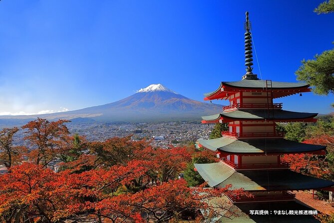 Mt. Fuji, Oishi Park & Arakurayama Pagoda Bus Tour with Lunch - Oishi Park and the Lake Kawaguchi view