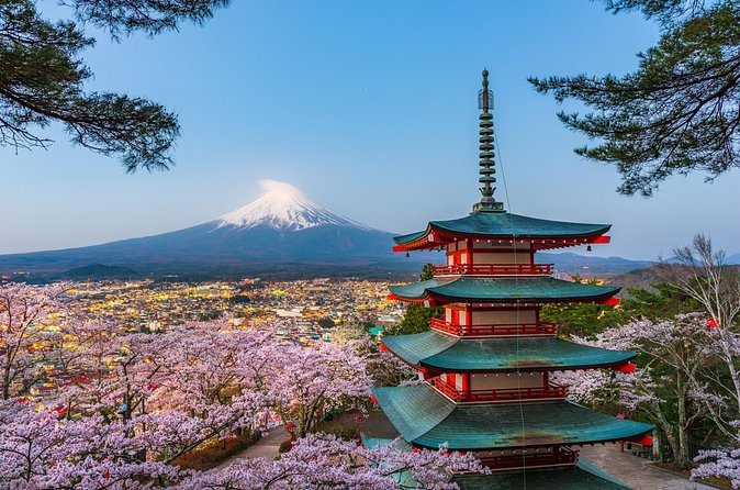 Mt. Fuji or Hakone Private Sightseeing Day Trip From Tokyo - Lake Kawaguchiko gives you the most choice
