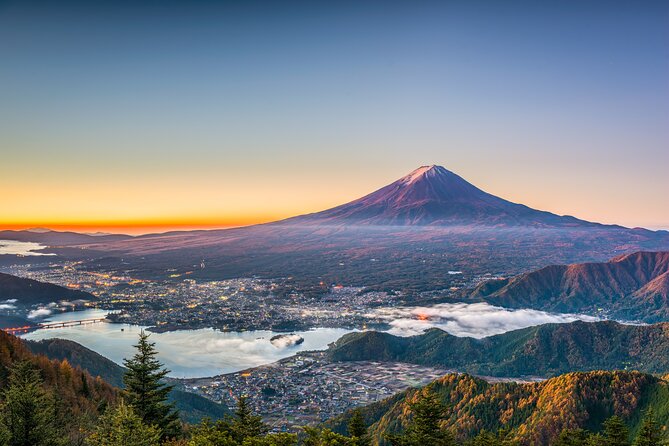 Mt. Fuji or Hakone Private Sightseeing Day Trip From Tokyo - The drivers shape the quality of the day