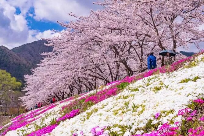 Mt. Fuji Panoramic Ropeway, 5th Station, And Oshino Hakkai Tour - Leaving Shinjuku for Fuji country