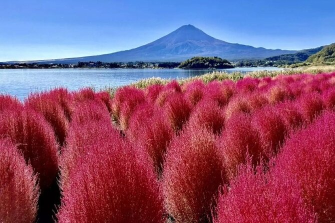 Mt. Fuji Panoramic Ropeway, 5th Station, And Oshino Hakkai Tour - Oshino Hakkai and its eight clear ponds