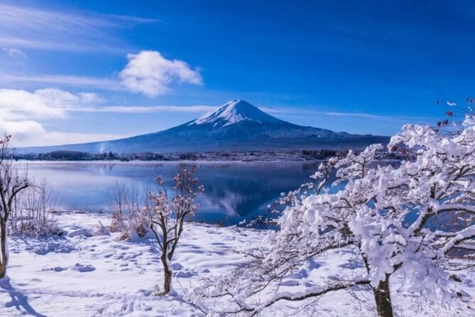 Mt. Fuji Panoramic Ropeway, 5th Station, And Oshino Hakkai Tour - Reaching Mt. Fuji’s 5th Station