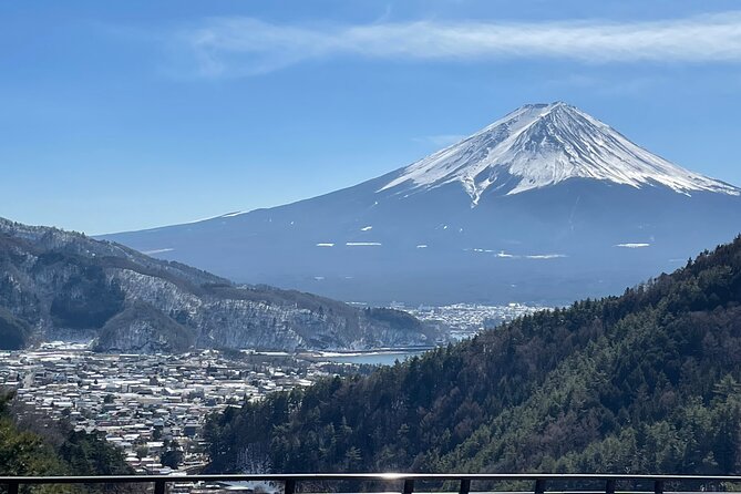 Mt FUJI - Panoramic Tour w/ Hoto Lunch, JP Sake & Onsen tatto OK! - Key points to know before booking