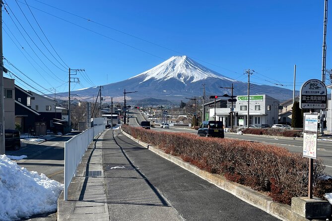 Mt FUJI - Panoramic Tour w/ Hoto Lunch, JP Sake & Onsen tatto OK! - Your first Fuji views around Nishikatsura and Fujiyoshida