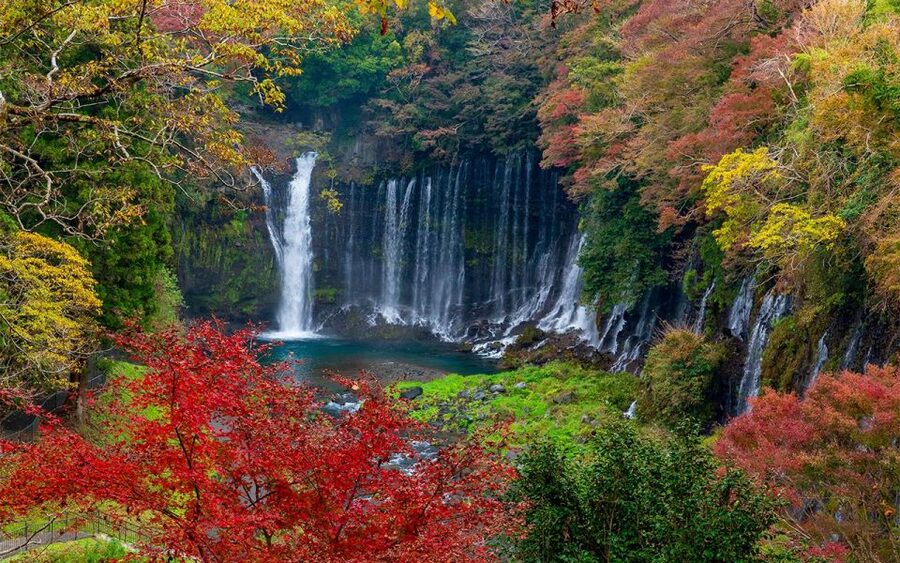 Mt Fuji : Private 10-Hour Luxury Tour by Exclusive Car - What the private format gives you