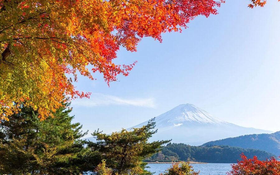 Mt Fuji : Private 10-Hour Luxury Tour by Exclusive Car - Who should book this private Fuji tour?