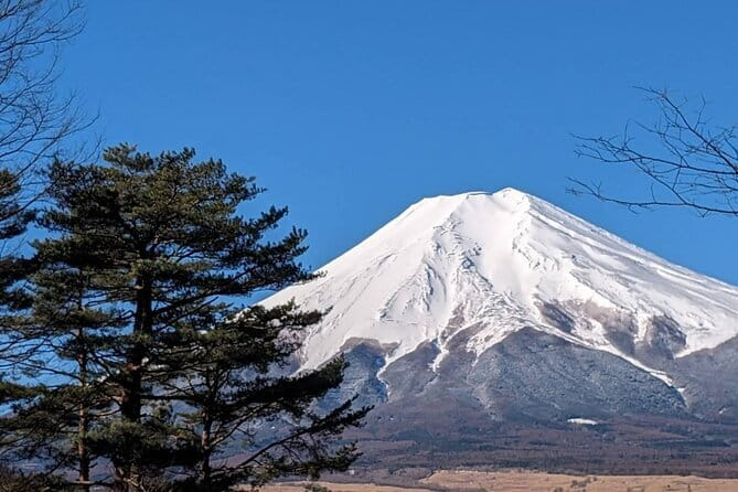 Mt. Fuji Private Car Tour from Tokyo - Why a private car works well for Mt. Fuji