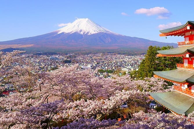 Mt. Fuji Private Car Tour from Tokyo - Oshino Hakkai and the water of Mt. Fuji