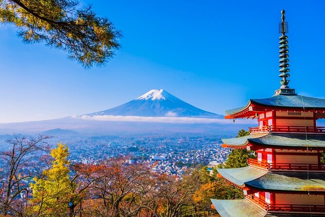 Mt Fuji Private Day Trip from Tokyo with English speaking driver - Key points to know before you book