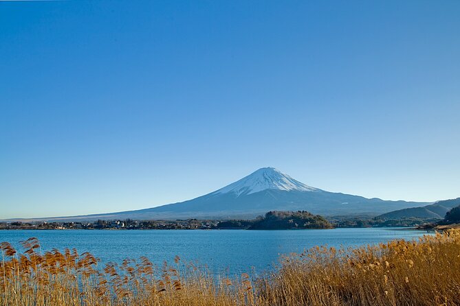 Mt Fuji Private Day Trip from Tokyo with English speaking driver - Chureito Pagoda and the climb above Fujiyoshida