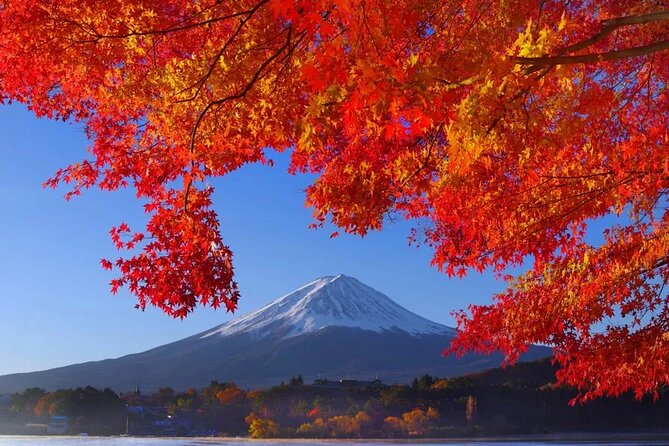 Mt Fuji Private Day Trip from Tokyo with English speaking driver - Oshino Hakkai, clear ponds and a touristy village