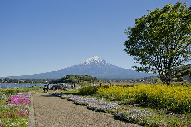 Mt.Fuji Private SightSeeing Day Tour (From Tokyo) - Mount Fuji 5th Station at 2,300 meters