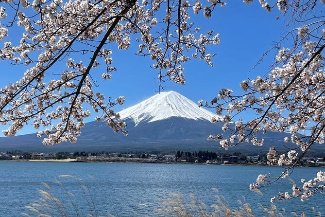 Mt Fuji Private Sightseeing Tour from Tokyo - Key points to know before booking