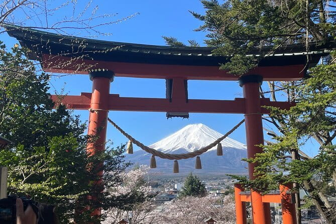 Mt Fuji Private Sightseeing Tour from Tokyo - Why a private car makes sense from Tokyo