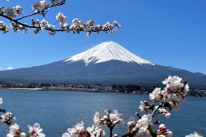 Mt Fuji Private Sightseeing Tour from Tokyo - Oshino Hakkai and its clear spring ponds
