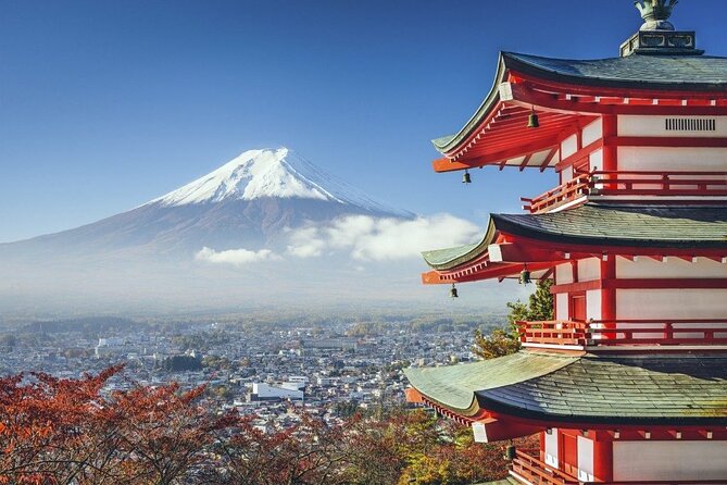 Mt. Fuji Private Tour by Car with Pick-up from Tokyo - Why a private car makes sense from Tokyo