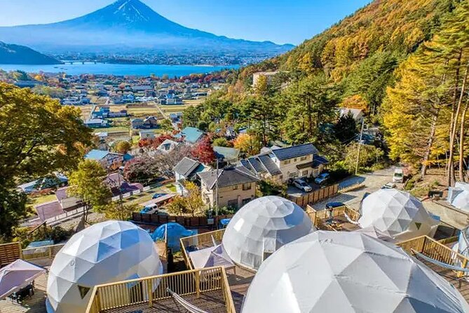 Mt. Fuji Private Tour by Car with Pick-up from Tokyo - Mount Fuji 5th Station at 2,300 meters
