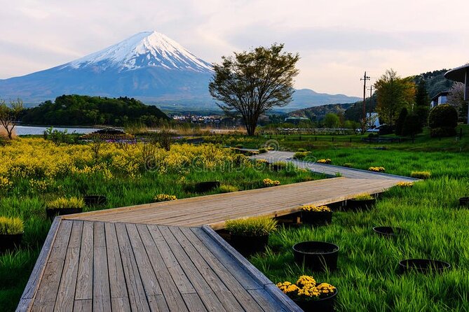 Mt. Fuji Private Tour with English Speaking Driver - Lake Kawaguchiko: two hours for views and optional activities
