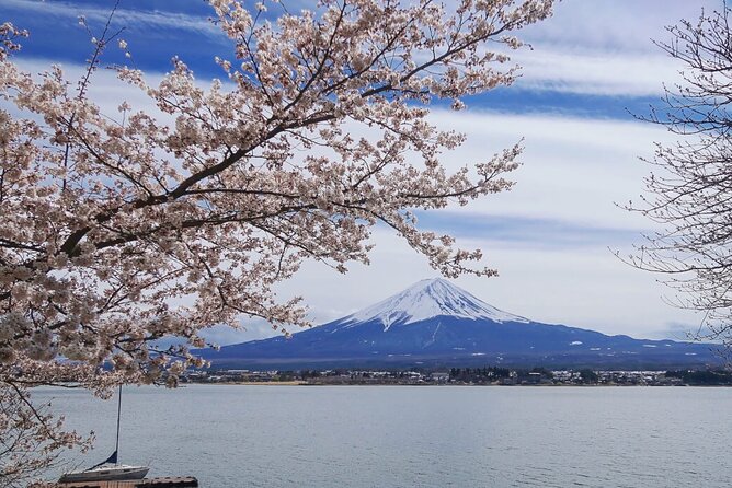 Mt. Fuji Private Tour with English Speaking Driver - Oishi Park, flowers, and the north shore view