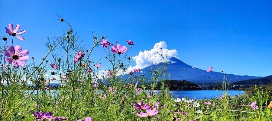 Mt. Fuji Private Tour With Hotel Pick Up From Tokyo - Key Points at a Glance