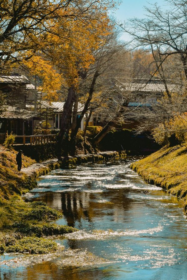 Mt. Fuji Private Tour With Hotel Pick Up From Tokyo - Saiko Iyashi-no-Sato Nenba