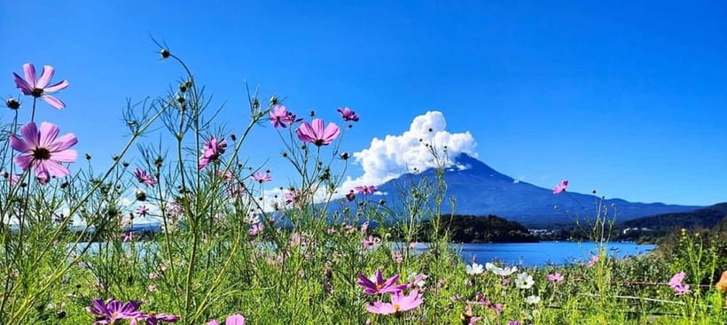 Mt. Fuji Private Tour With Hotel Pick Up From Tokyo - Starting From Tokyo or Hakone