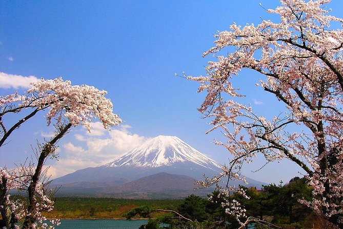 Mt Fuji Private Tour with Native Japanese Driver - Arakurayama Sengen Park and the famous pagoda view